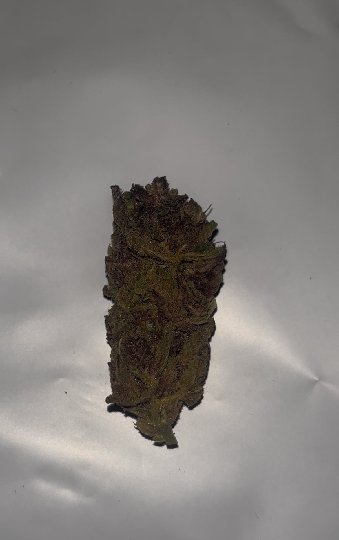 Gorilla Skunk – 24.7% Cannabinoids | Indoor Funk Gas (28g)