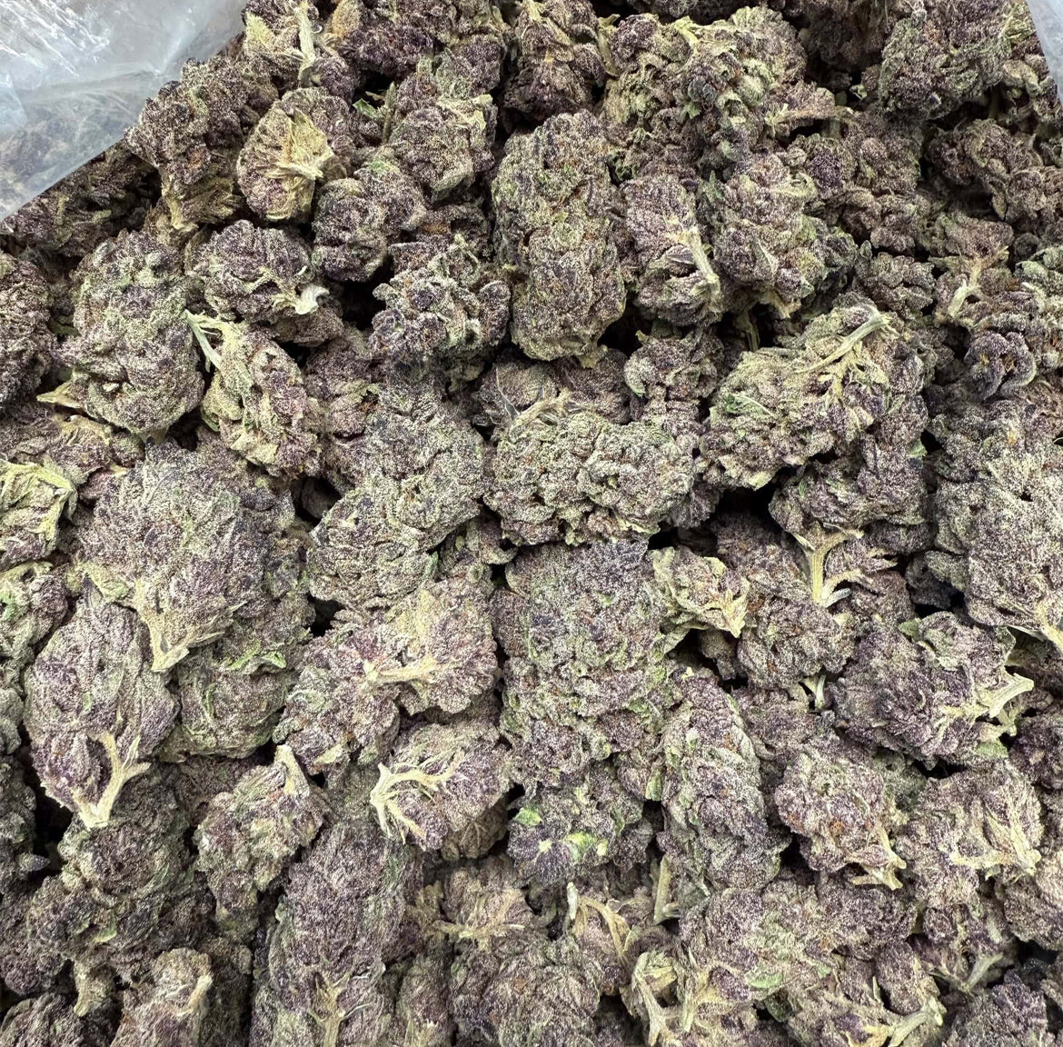 Gorilla Skunk – 24.7% Cannabinoids | Indoor Funk Gas (28g)
