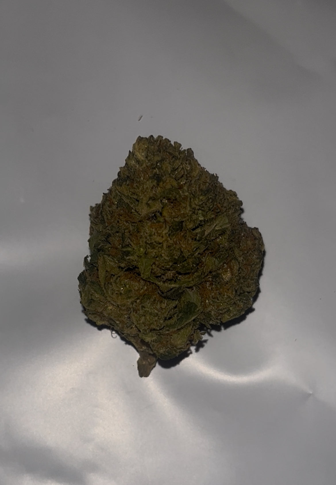 Grape Ape – 20.89% Cannabinoids | Indoor Purple Gas (28g)