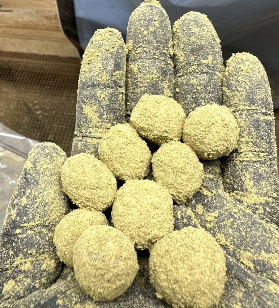 Sour Diesel – Infused Indoor Moonrocks (69.12% THCa)