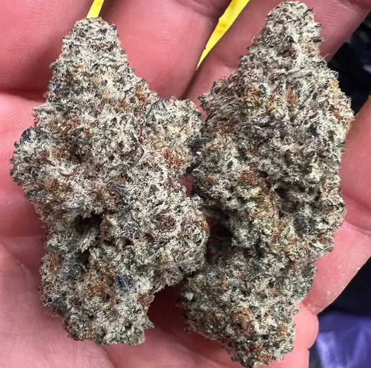Black Ice – Indoor Premium Botanical (QP 4oz)